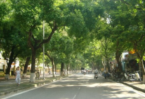 Cây xanh đô thị